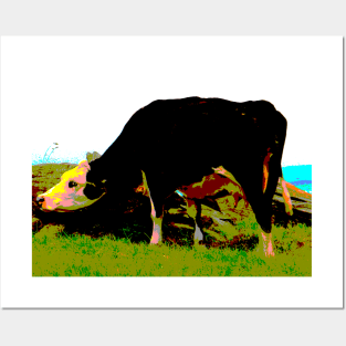 The Irish Cow in Colour! Posters and Art